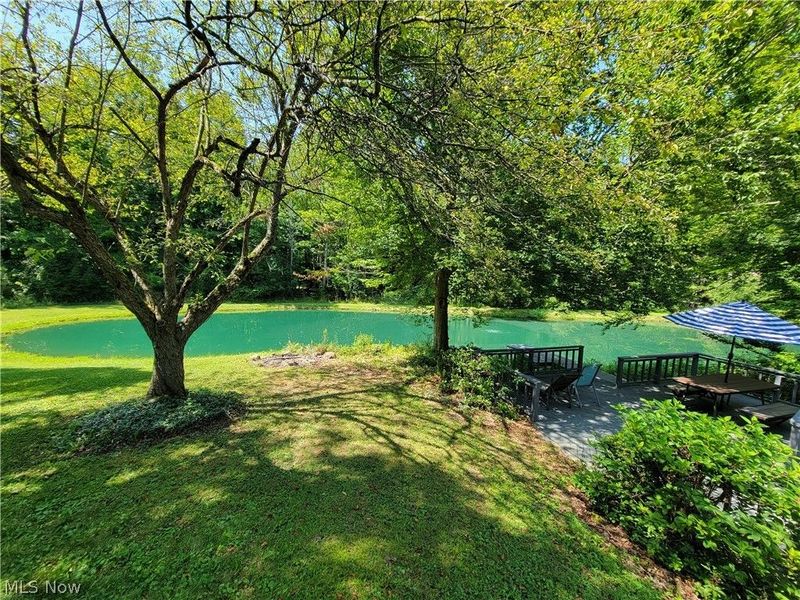 5945 Deerview Lane, Medina, OH 44256 Photo 43
