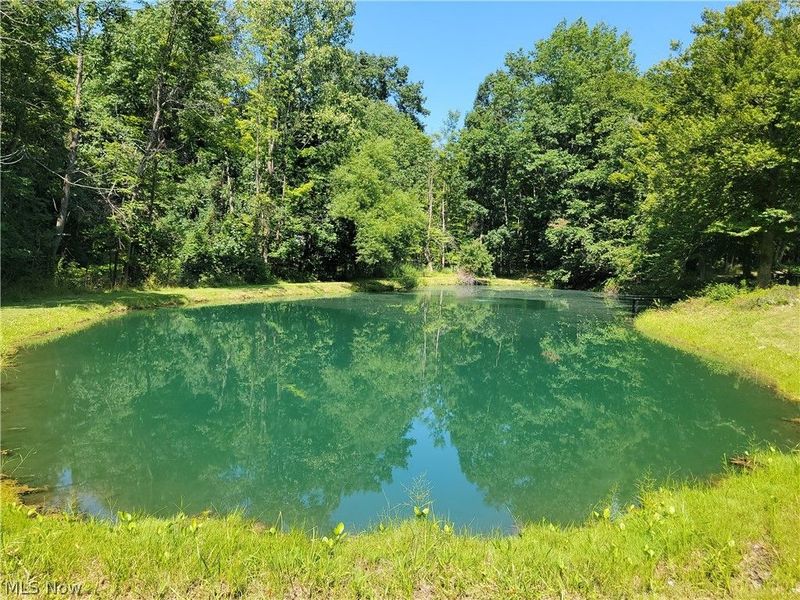 5945 Deerview Lane, Medina, OH 44256 Photo 48