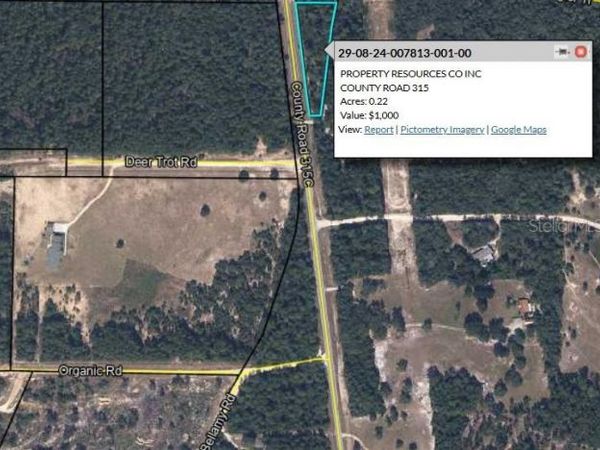 COUNTY ROAD 315 , MELROSE, FL 32666