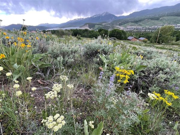 371 Z Road , Silverthorne, CO 80498