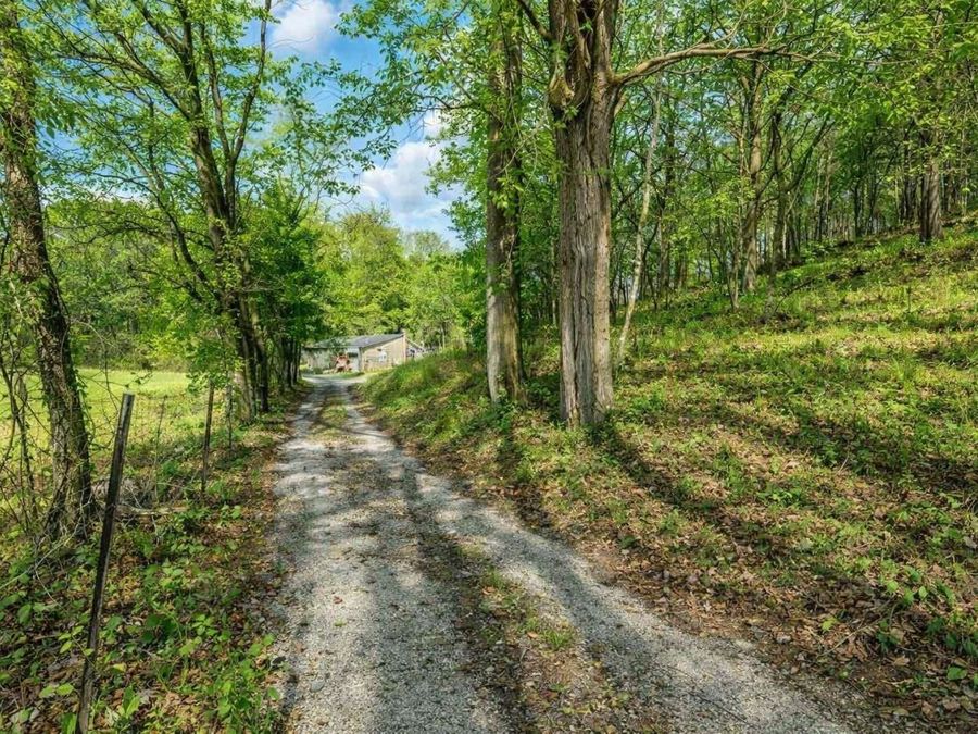 Property Image 8