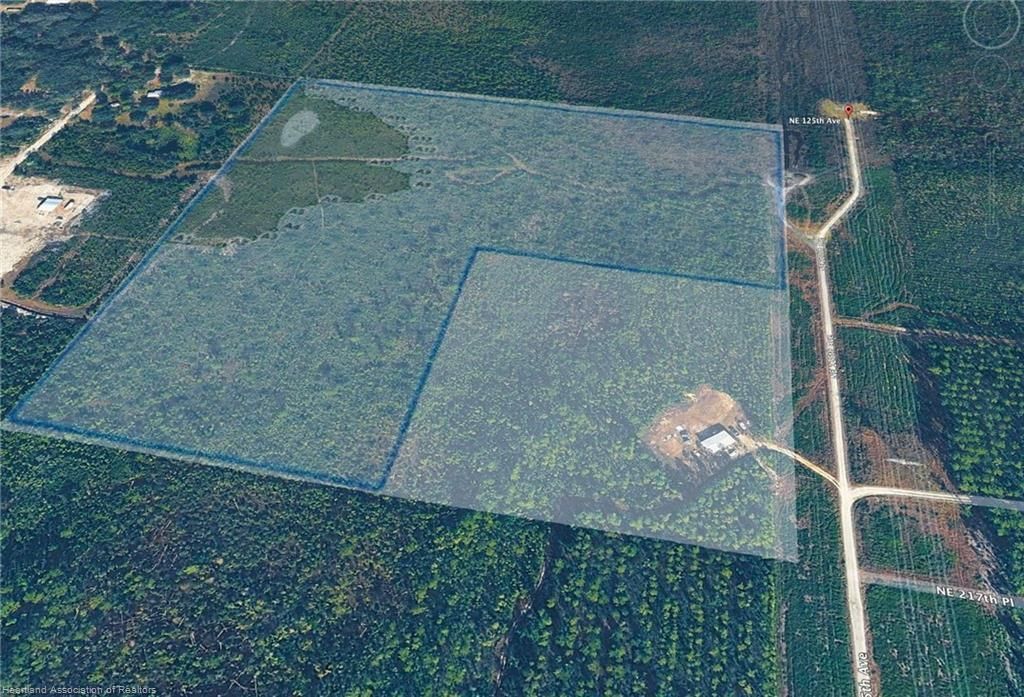 0 NE 125th Avenue, Fort Mc Coy, FL 32134 Main Photo
