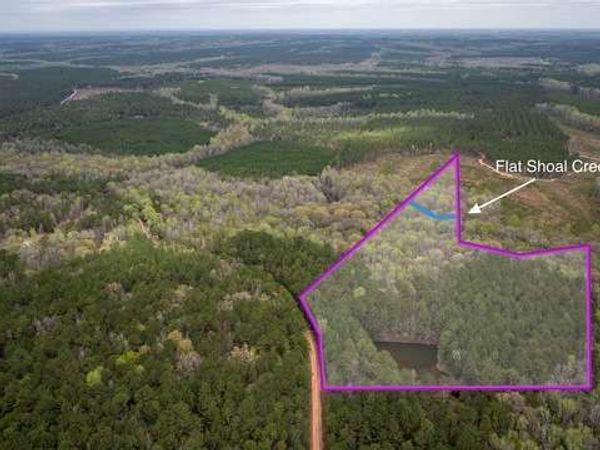 0 Wadley Street, Greenville, GA 30222