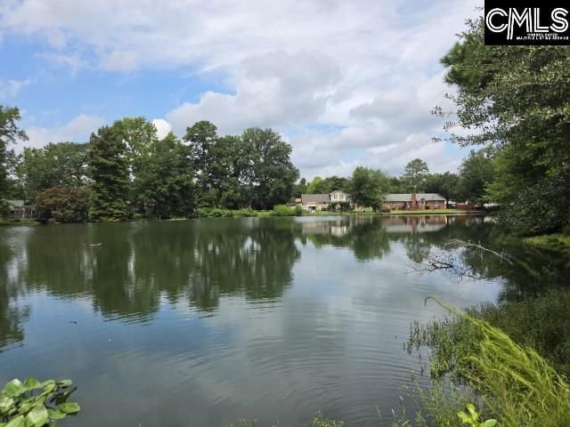 302 Shadowfield Drive Photo 4
