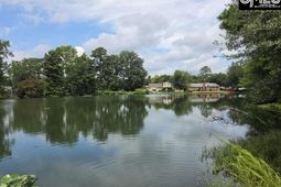 302 Shadowfield Drive photo 4