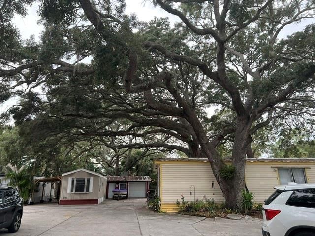 1045 Hickory Lane, Holiday, FL 34691 Photo