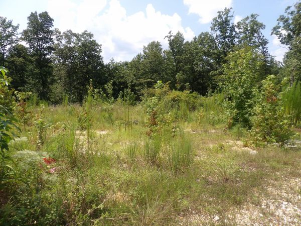 0 Old Union Church Road , Holladay, TN 38341
