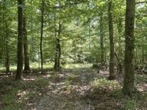 0 Old Union Church Road, Holladay, TN 38341
