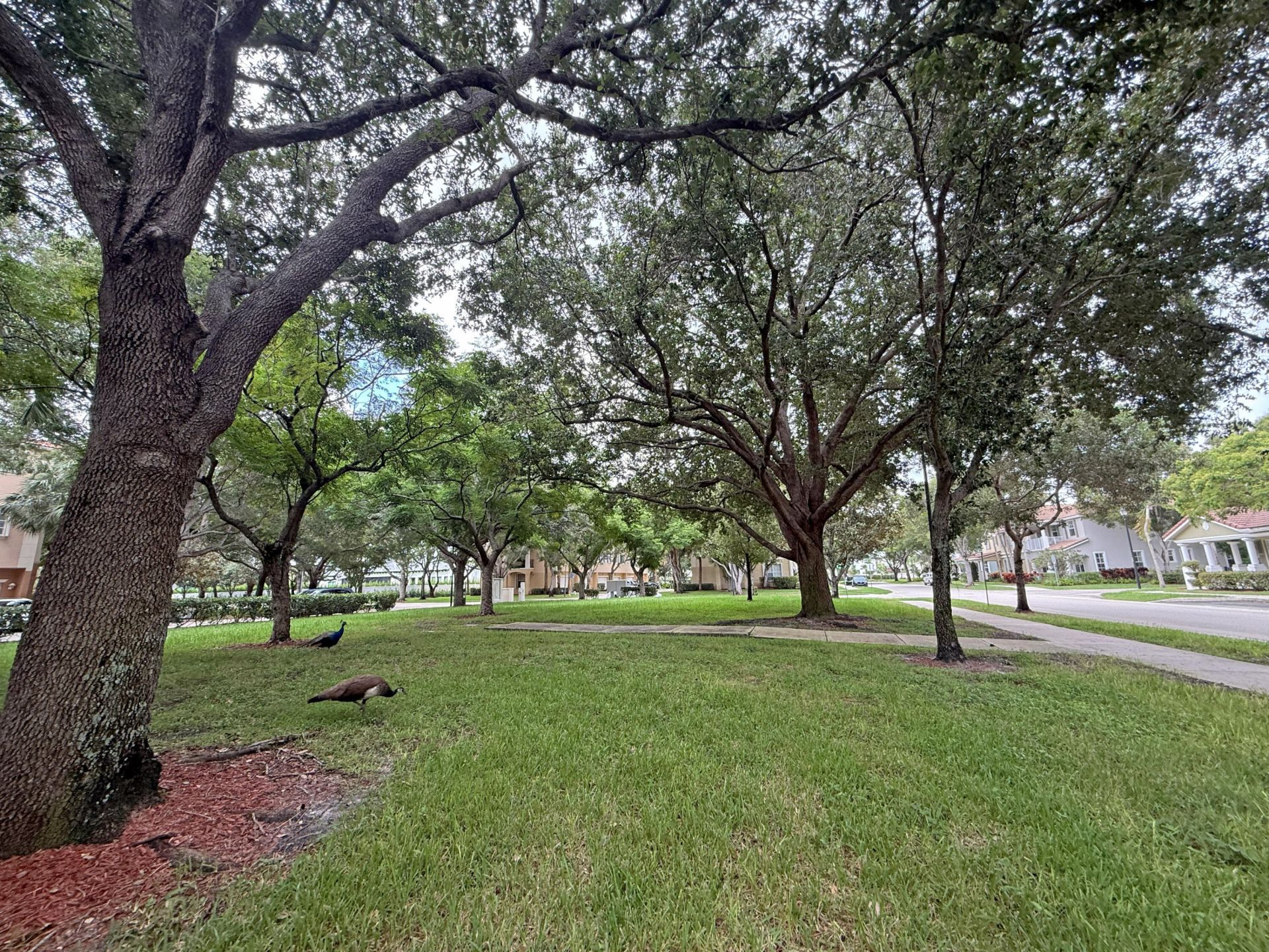 4533 Highgate Drive, Unit B, Delray Beach, FL 33445 Photo