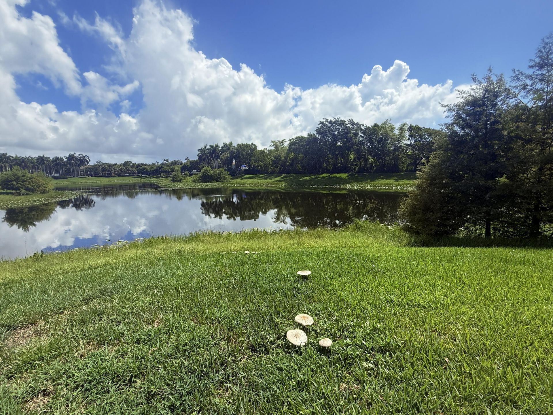 4533 Highgate Drive, Unit B, Delray Beach, FL 33445 Photo