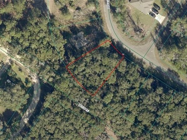 9042-1617-19 Baycourt PASS , OCKLAWAHA, FL 32179