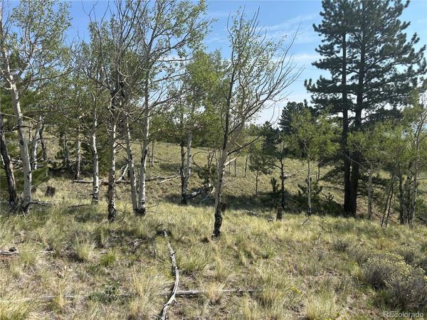 11414 Ranch Road , Hartsel, CO 80449
