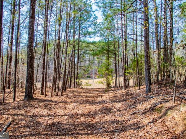 3940 Clinton Court, Villa Rica, GA 30180