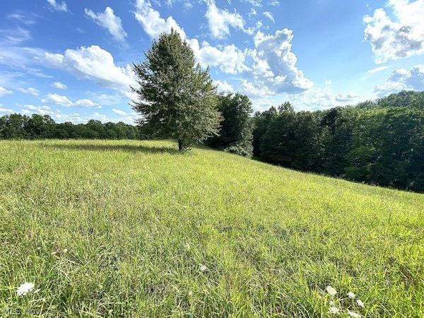 Little Left Hand Road, Looneyville, WV 25259