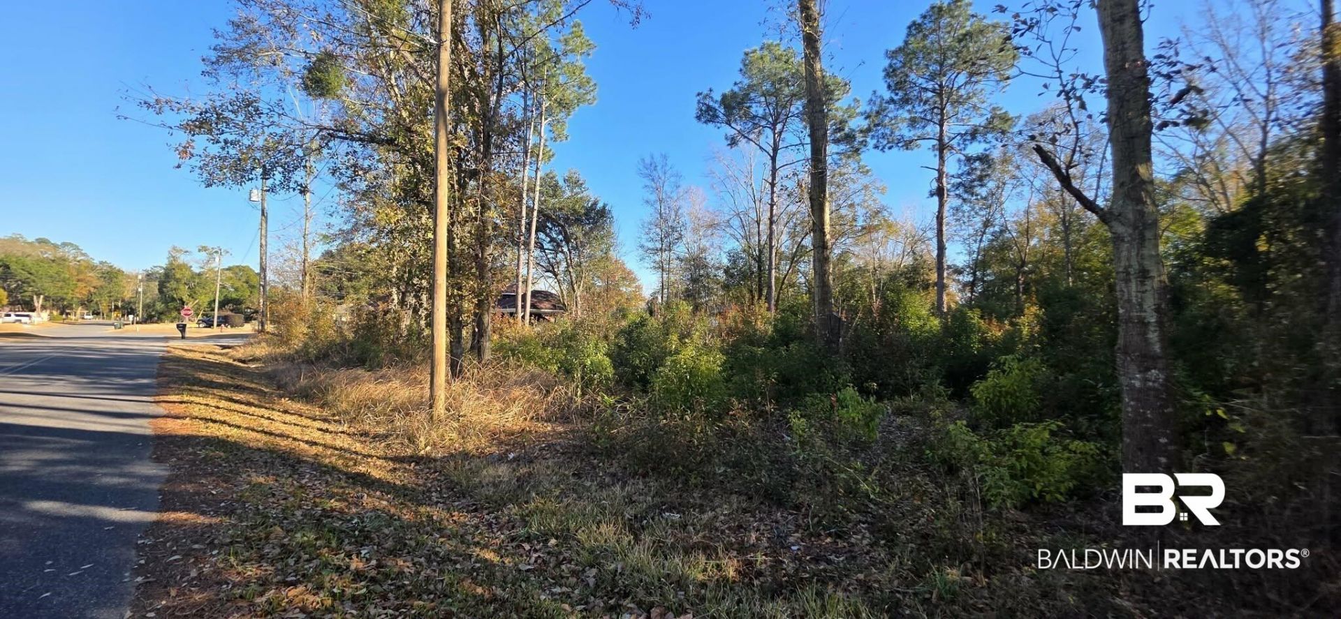 0 2nd Avenue, Foley, AL 36535 Main Photo