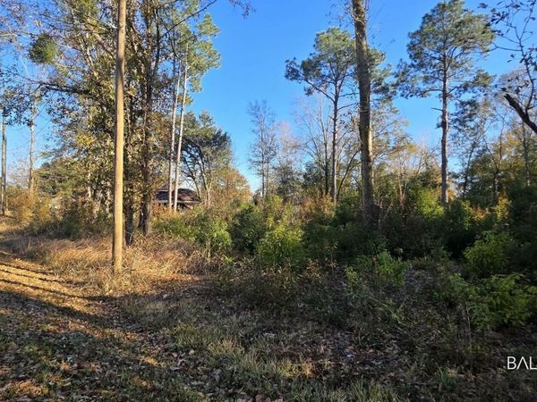 0 2nd Avenue, Foley, AL 36535