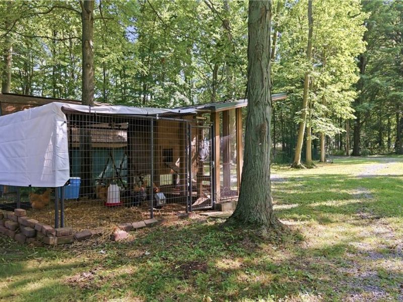 37933 Longs Crossing Road, Leetonia, OH 44431 Photo 15