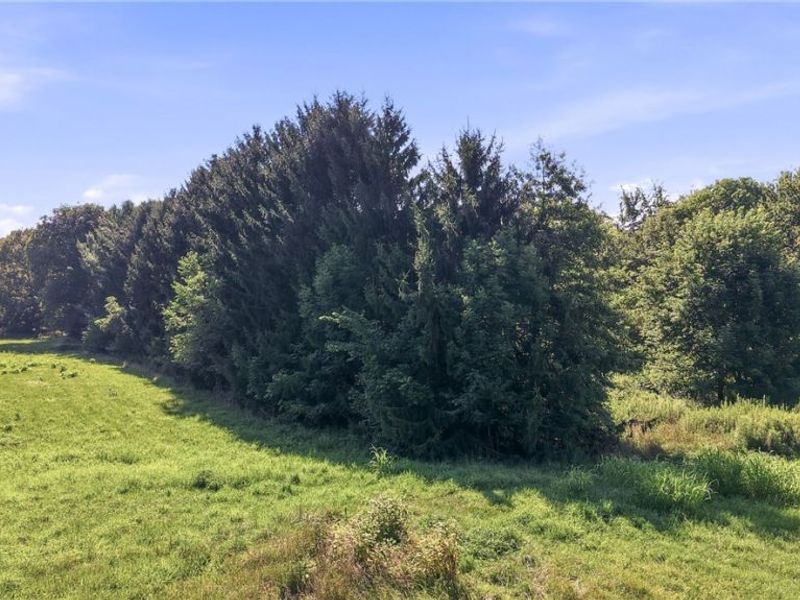 37933 Longs Crossing Road, Leetonia, OH 44431 Photo 26