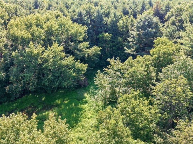 37933 Longs Crossing Road, Leetonia, OH 44431 Photo 28