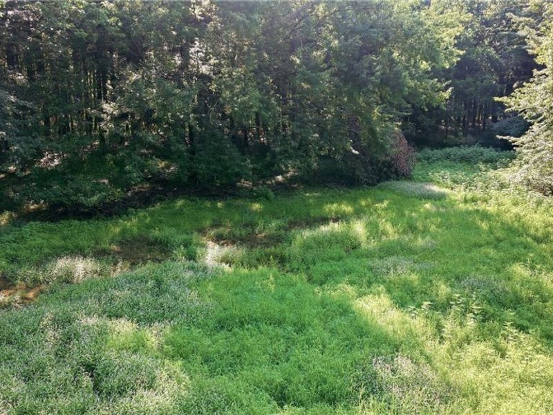 37933 Longs Crossing Road, Leetonia, OH 44431 Photo 29
