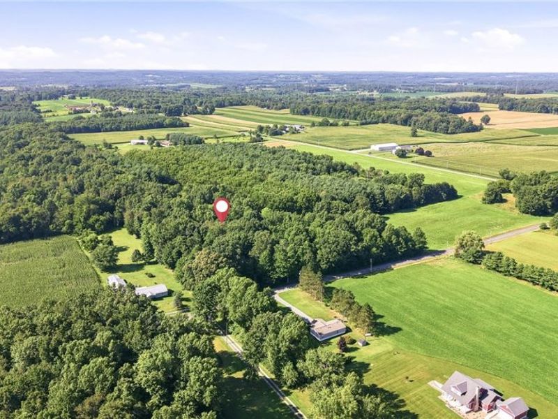 37933 Longs Crossing Road, Leetonia, OH 44431 Photo 31