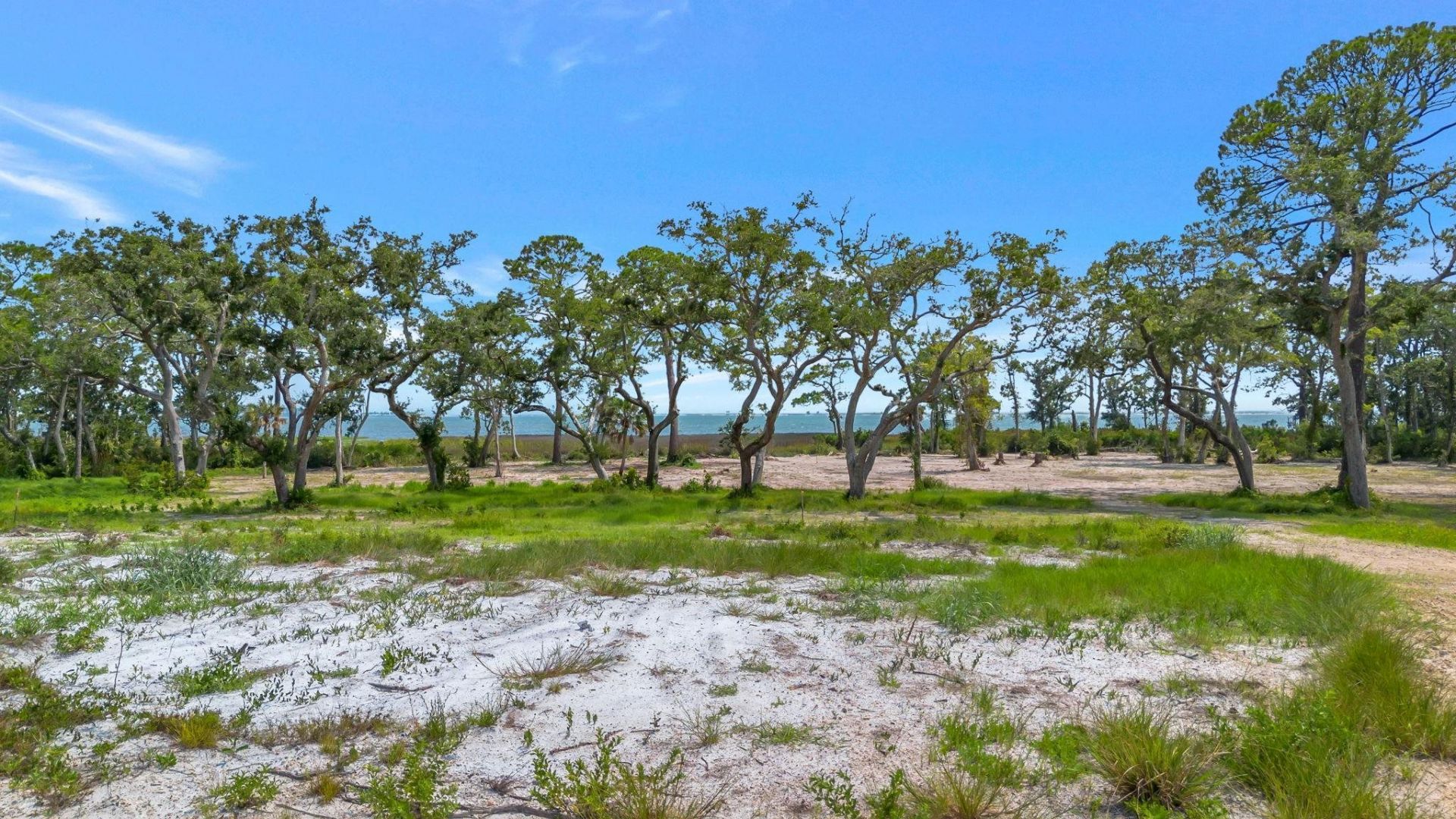 4546 Palms Way, Saint Teresa, FL 32346 Photo