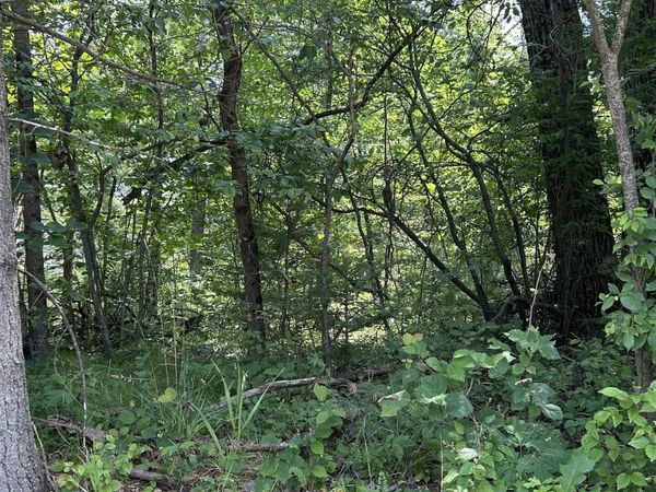 828 Choctaw Trail, West Branch, MI 48661