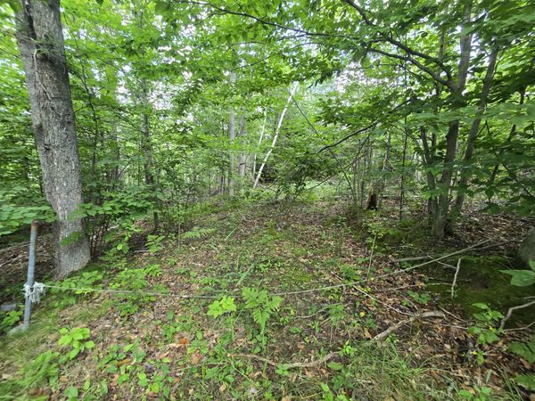 V/L Chippewa Trail Lot 62-64, Johannesburg, MI 49751