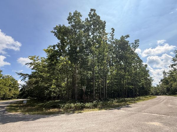 V/L Steep Hollow Lane, Gaylord, MI 49735