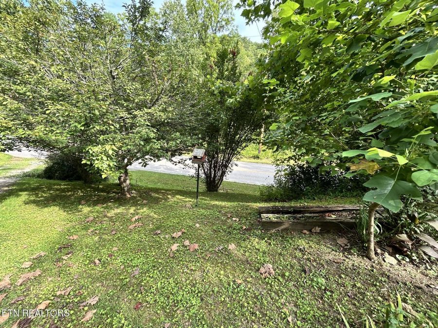 Property Image 58