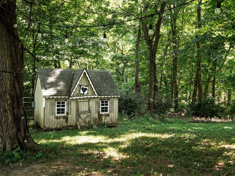 405 Crittenden Mount Zion Road, Dry Ridge, KY 41035 Photo 8