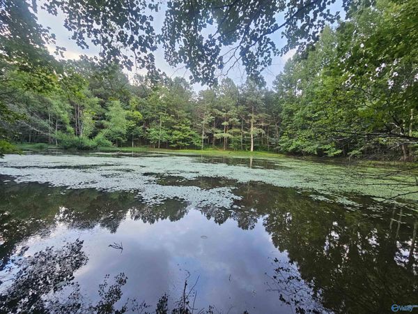 .714 County Road 72, Mentone, AL 35984