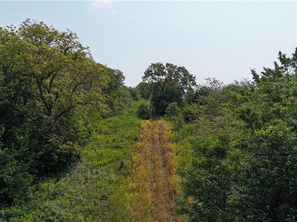 SE Black Oak Road, Braymer, MO 64624