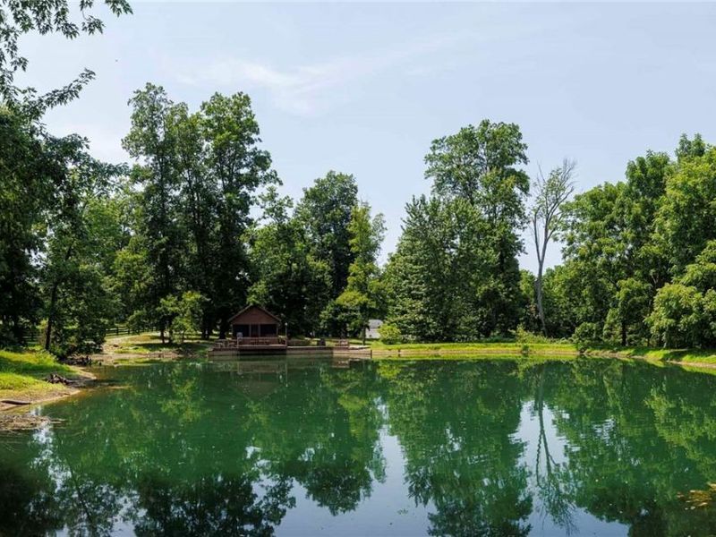 4734 Township Road 613, Fredericksburg, OH 44628 Photo 10