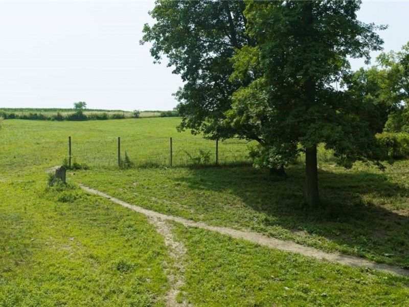 4734 Township Road 613, Fredericksburg, OH 44628 Photo 29