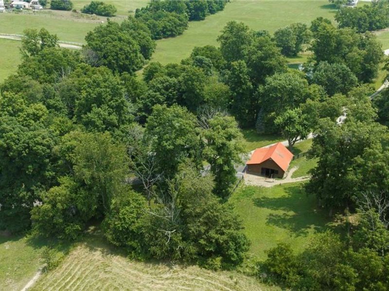 4734 Township Road 613, Fredericksburg, OH 44628 Photo 36