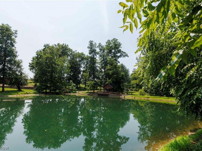 4734 Township Road 613, Fredericksburg, OH 44628 Photo 9