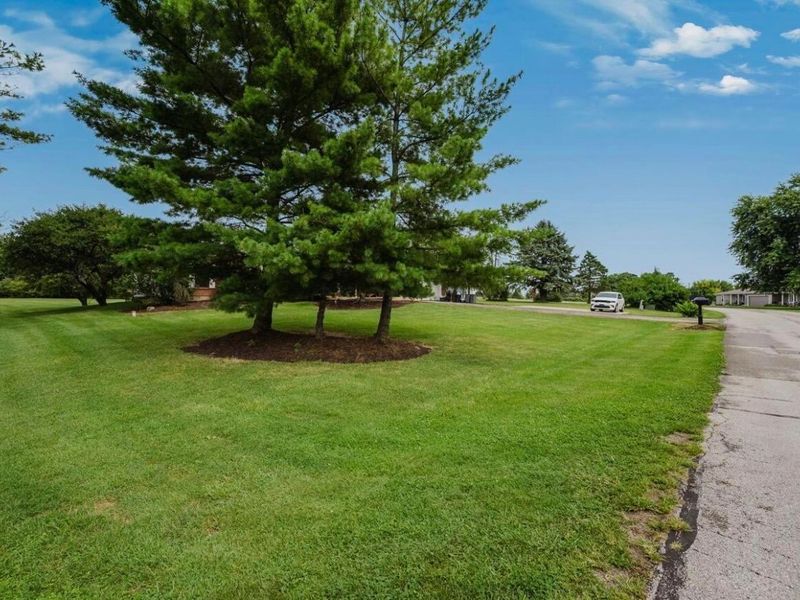 7094 Fayette Drive, West Jefferson, OH 43162 Photo 4