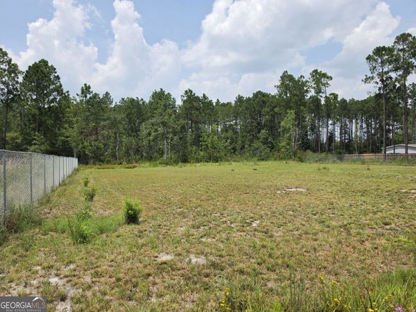 1.37 AC Bill Wells Road NE, Ludowici, GA 31316