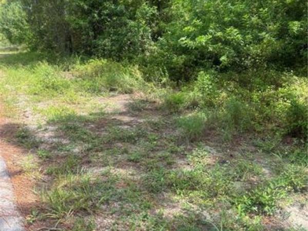 2110 Jackson AVE , ALVA, FL 33920