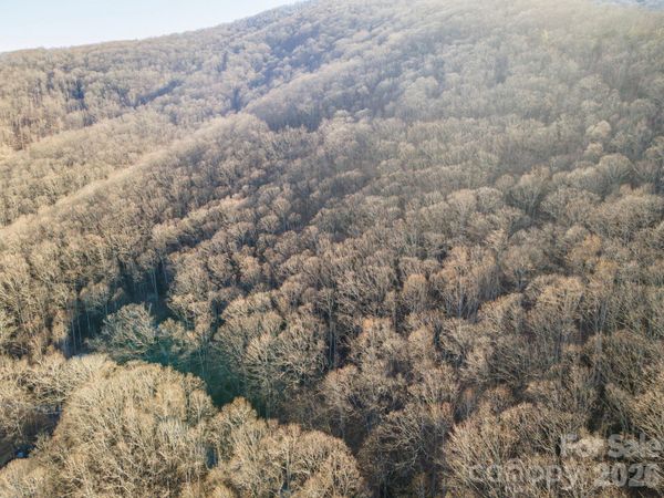 00 Wildflower Cove Road , Swannanoa, NC 28778