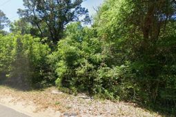 615 Parkersville Rd. photo 4