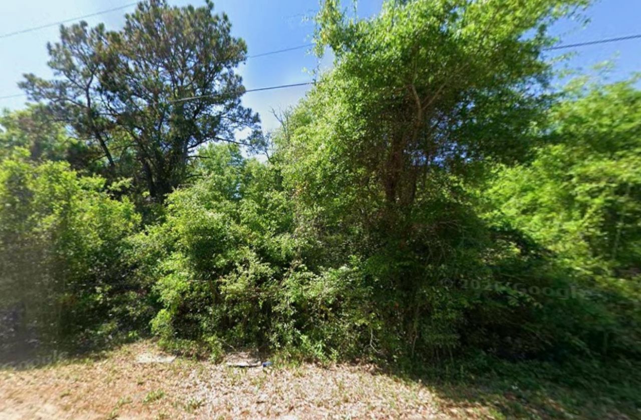 615 Parkersville Rd. Photo 4