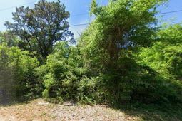 615 Parkersville Rd. photo 4