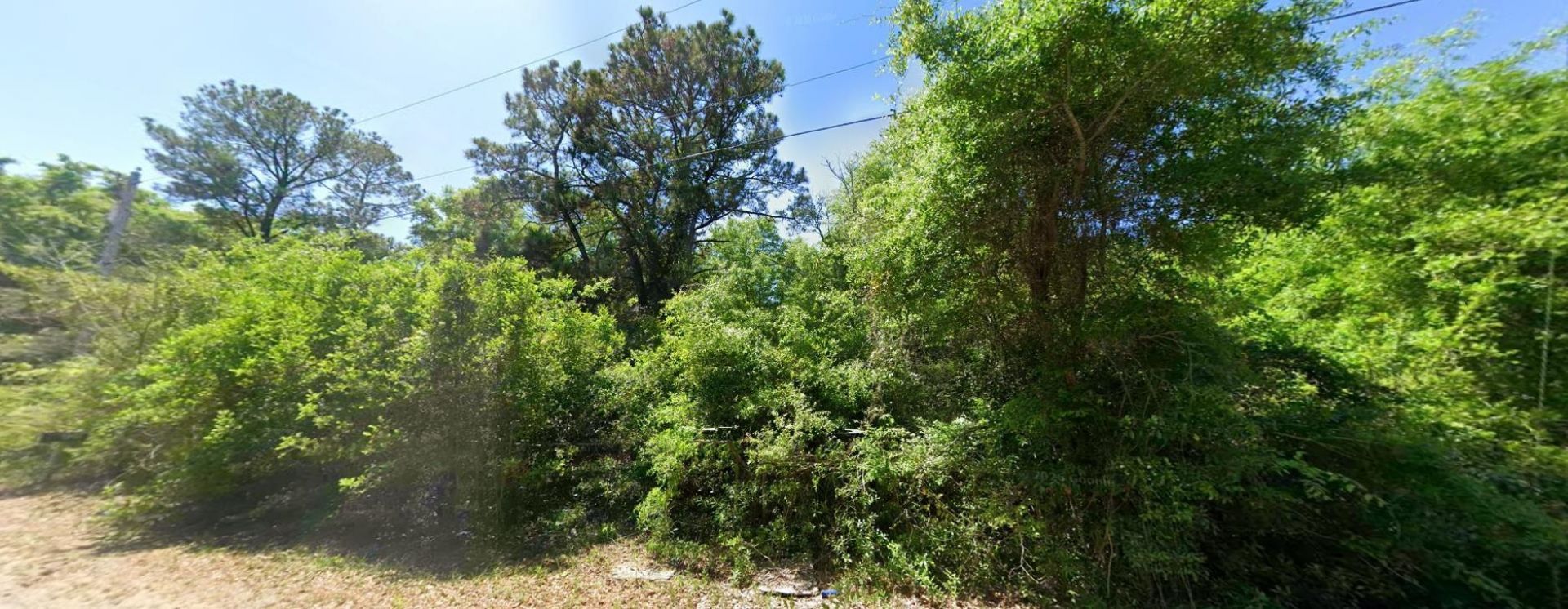 615 Parkersville Rd. Photo 5