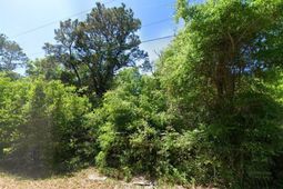 615 Parkersville Rd. photo 4