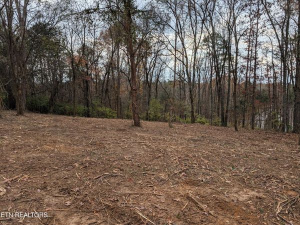 Midway Road lot 4 , Strawberry Plains, TN 37871