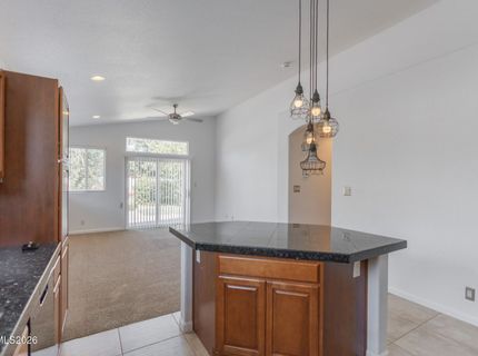 2125 Evergreen Park Drive, Reno, NV 89521 Photo