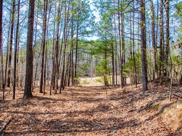 3940 Clinton Court , Villa Rica, GA 30180