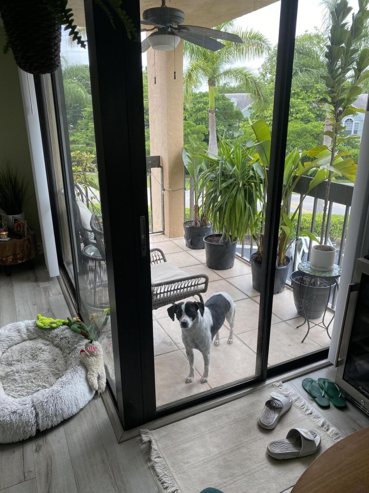 2255 Lindell Boulevard, Unit 4311, Delray Beach, FL 33444 Photo